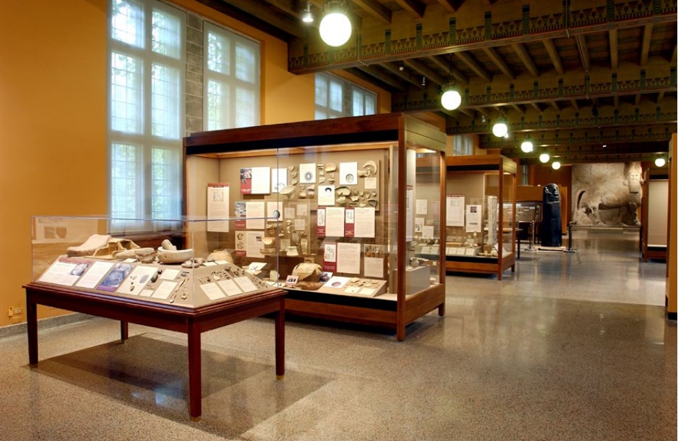 �Ϲ����֡�NG28(�й�)�ٷ���վ