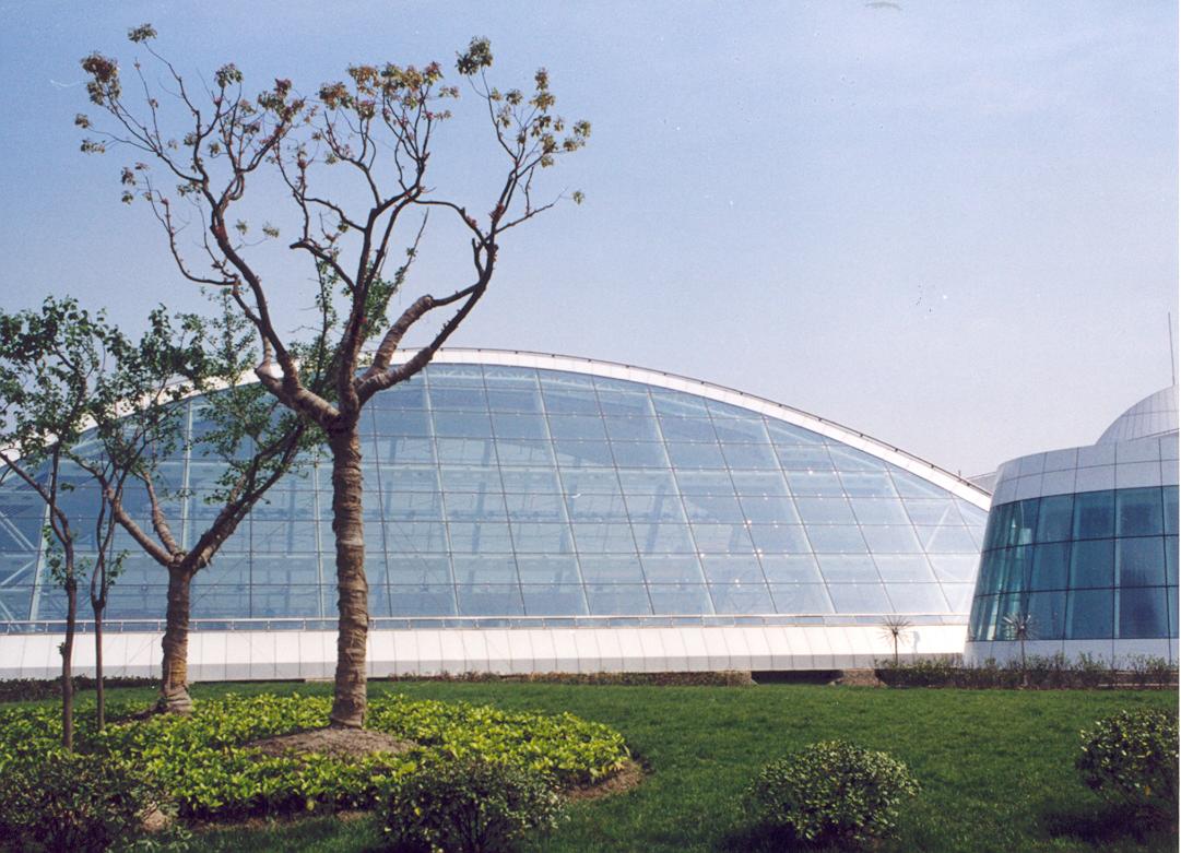 �Ϲ����֡�NG28(�й�)�ٷ���վ