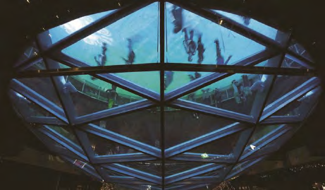 �Ϲ����֡�NG28(�й�)�ٷ���վ