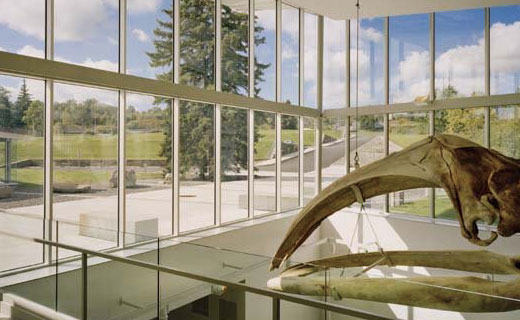 UVA80����ಣ��